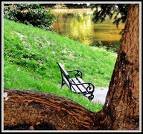 2440-images.jpg, 7 KB