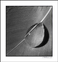 993538-sm.jpg, 9 KB
